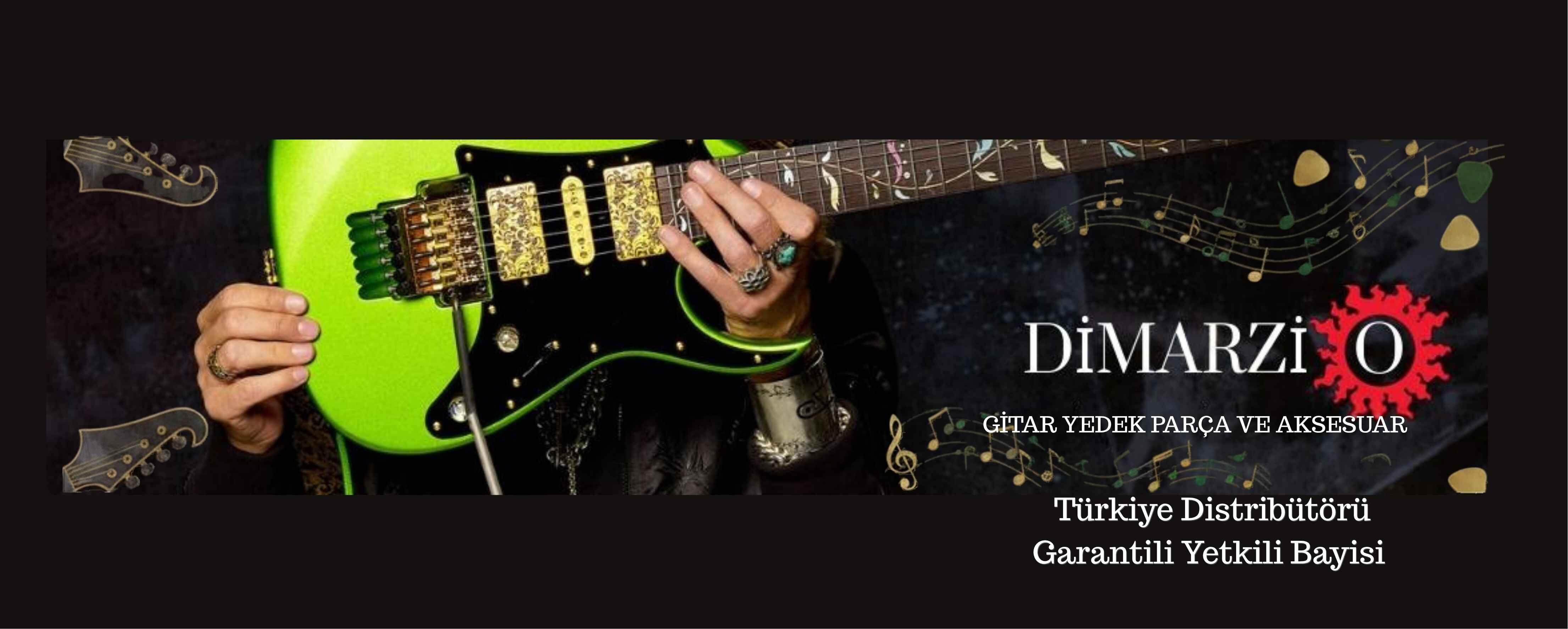 Dimarzio