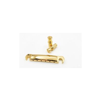 ASK-M Les Paul Tip Altın Stop Tailpiece Köprü Seti - 4