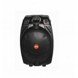 Belcat - Ace Audio Paz-65 30W Taşınabilir Sokak Amfisi