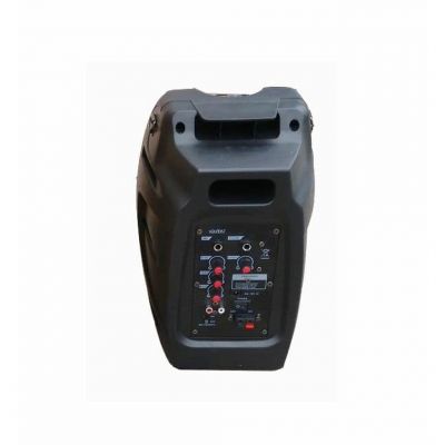 Ace Audio Paz-65 30W Taşınabilir Sokak Amfisi - 3