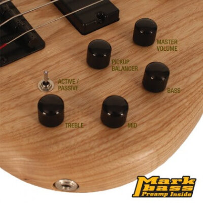 BAS GİTAR ACTION (DELUX ), SWAMP ASH KASA, OPEN PO - 2