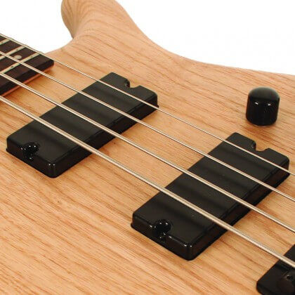 BAS GİTAR ACTION (DELUX ), SWAMP ASH KASA, OPEN PO - 3