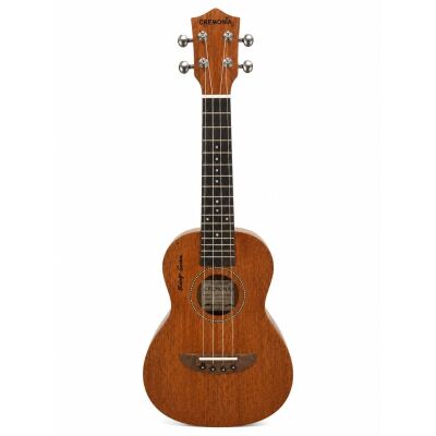 Ukulele 23
