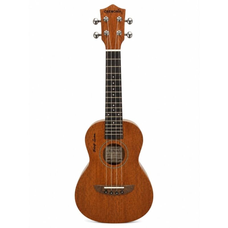 Ukulele 23