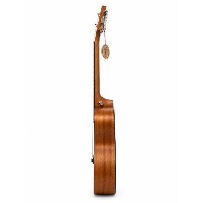 Ukulele 23