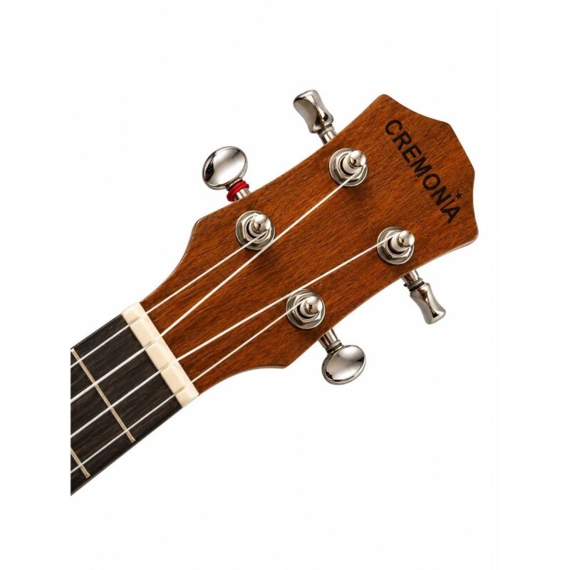Ukulele 23