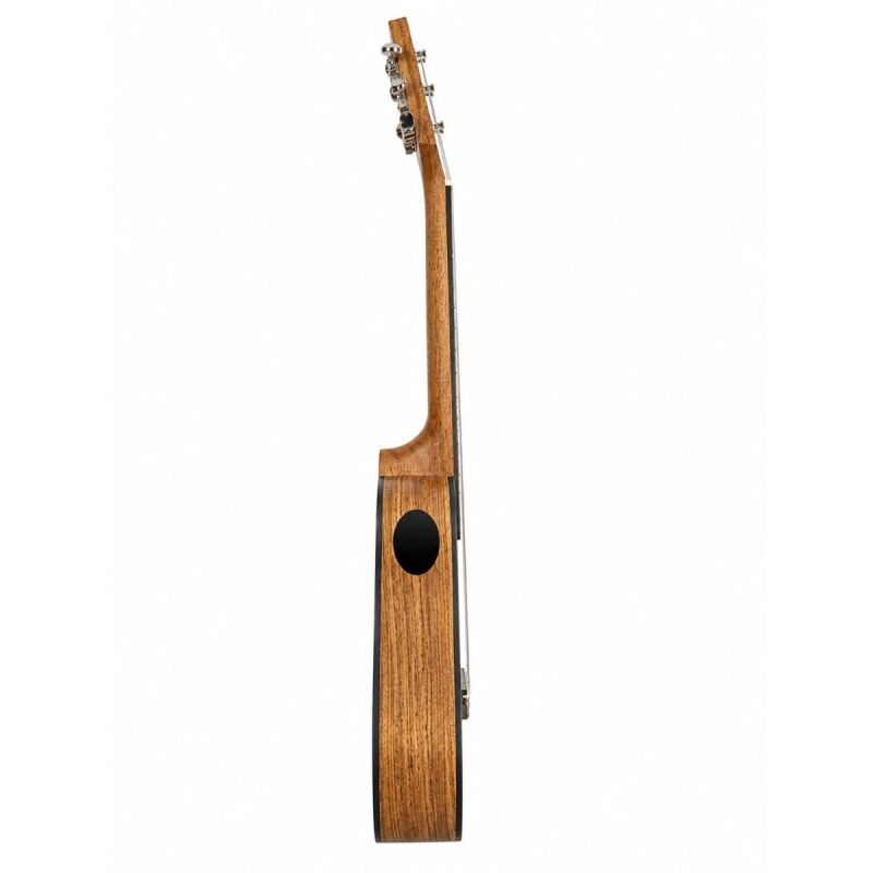 Ukulele 23
