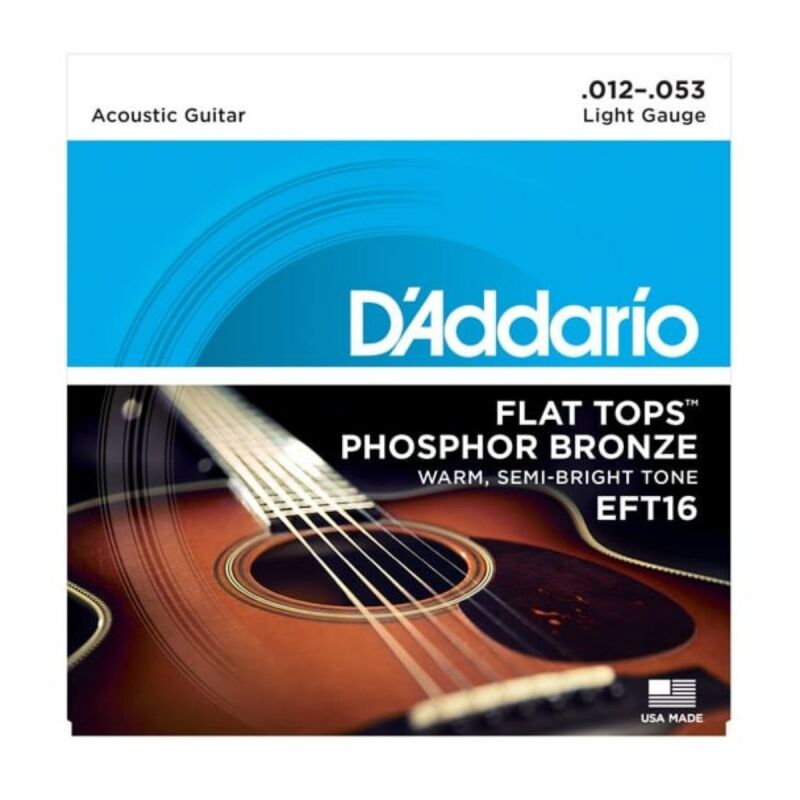 Akustik Gitar Tel Seti Flat Tops Phosphor Bronze - 1