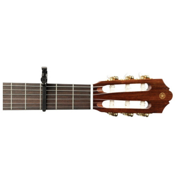 D’Addario PW-CP-13 Artist Classical Ayarlanabilir Klasik Gitar Kaposu – Siyah - 2