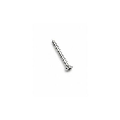 Bass/Telecaster® Bridge/Strap Button Mounting Screws, Phillips-Head, Chrome, TEK - 2