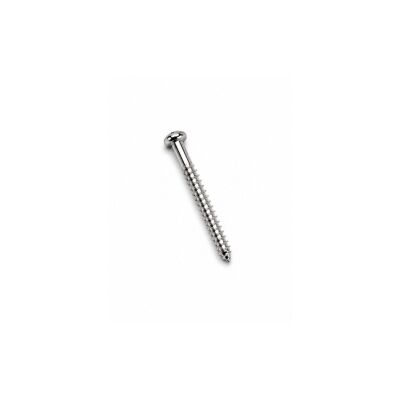 Fender Pure Vıntage Jazzmaster®/Telecaster® Manyetik Vidası TEK - 4