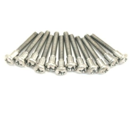 Fender Noiseless Pickup Mounting Screws-Manyetik Montaj Vidaları - Fender