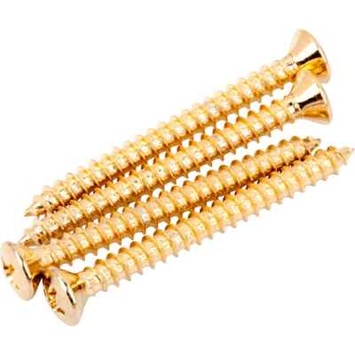 Neck Mounting Screws, Gold, (4) - Fender