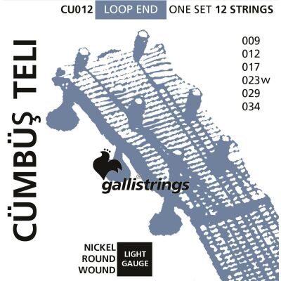 Galli 12 Telli Cümbüş Teli - Galli