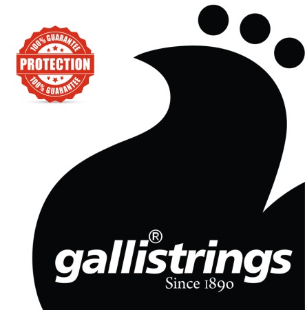 Galli LG40 Hard Tension Klasik Gitar Tel Takımı - Thumbnail
