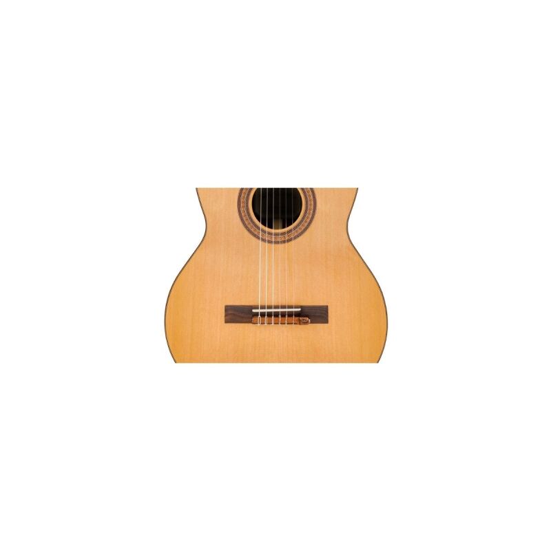 KNA NG-1 Klasik Gitar Piezo Manyetik - 1