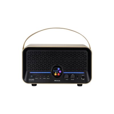 Mooer F15iLIIGL Şarjlı Akıllı Gitar Amfisi (Imperial Gold) - 2