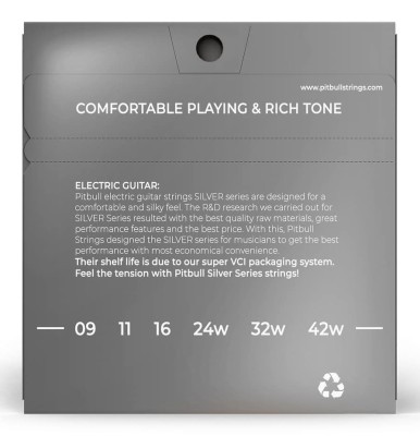 Pitbull Silver Series SEG 09-42 SL Elektro Gitar Takım Tel - 2