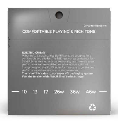 Pitbull Silver Series SEG 10-46 L Elektro Gitar Takım Tel - 2