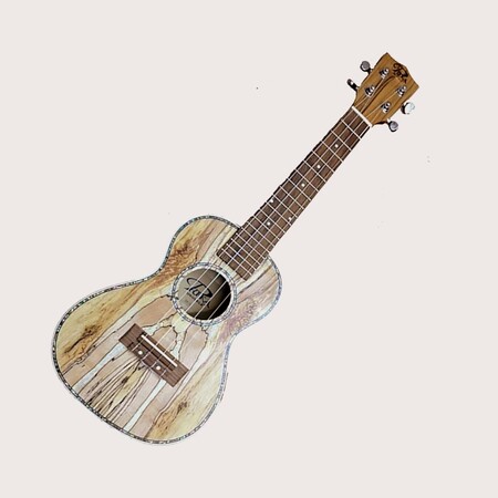 Puka Kök Ağacı Consert Ukulele