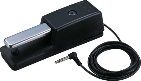 Roland DP-10 Sustain Pedal - 1