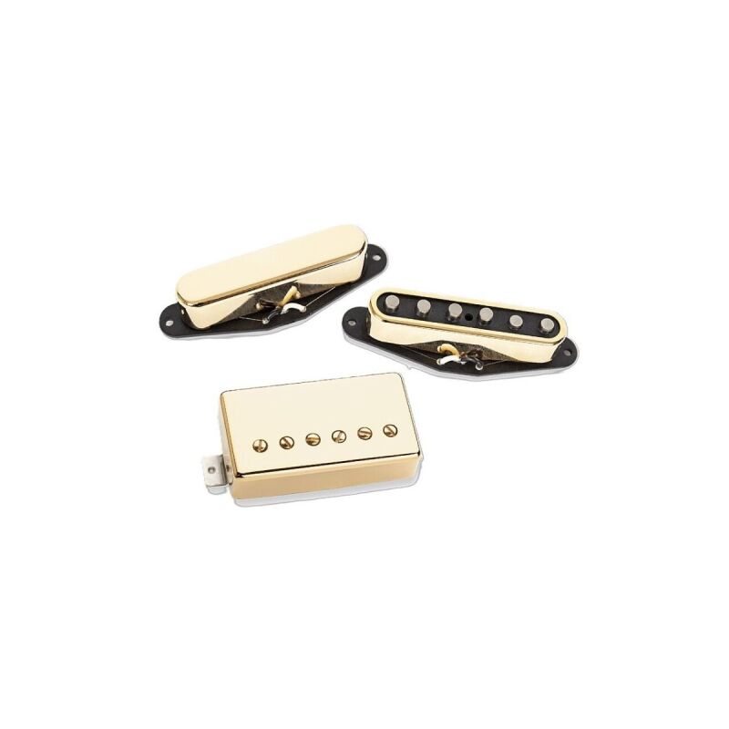 Seymour Duncan Lari Basilio Altın Kapak Manyetik Seti - 2