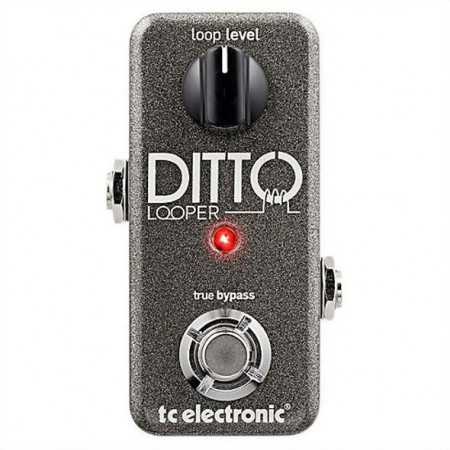 TC Electronic Ditto Looper Gitar Pedalı - Thumbnail